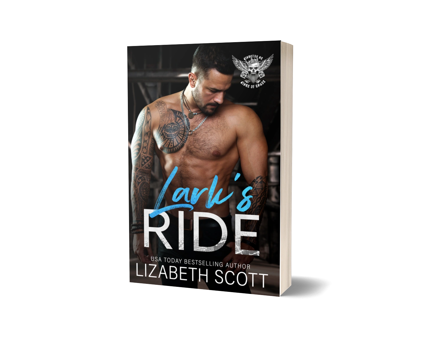 Lark's Ride- Paperback